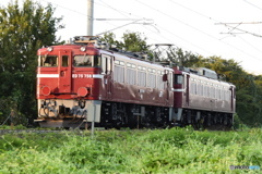 ED75 758 検査明け配給 EF81 134 牽引