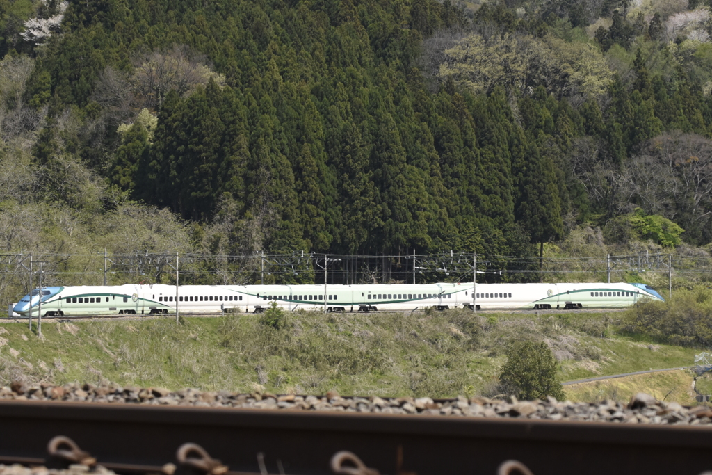 とれいゆ　つばさ