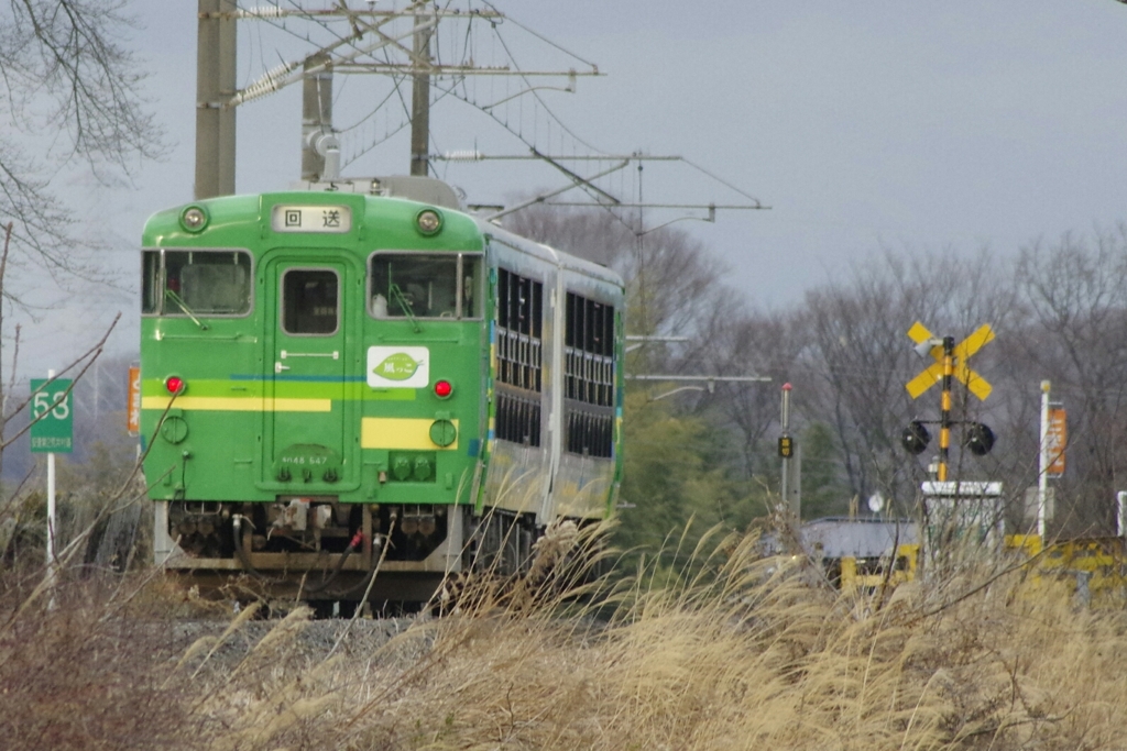 風っこ  帰る