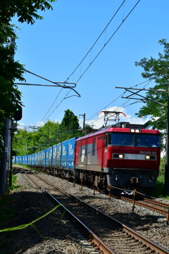 トヨタロングパス