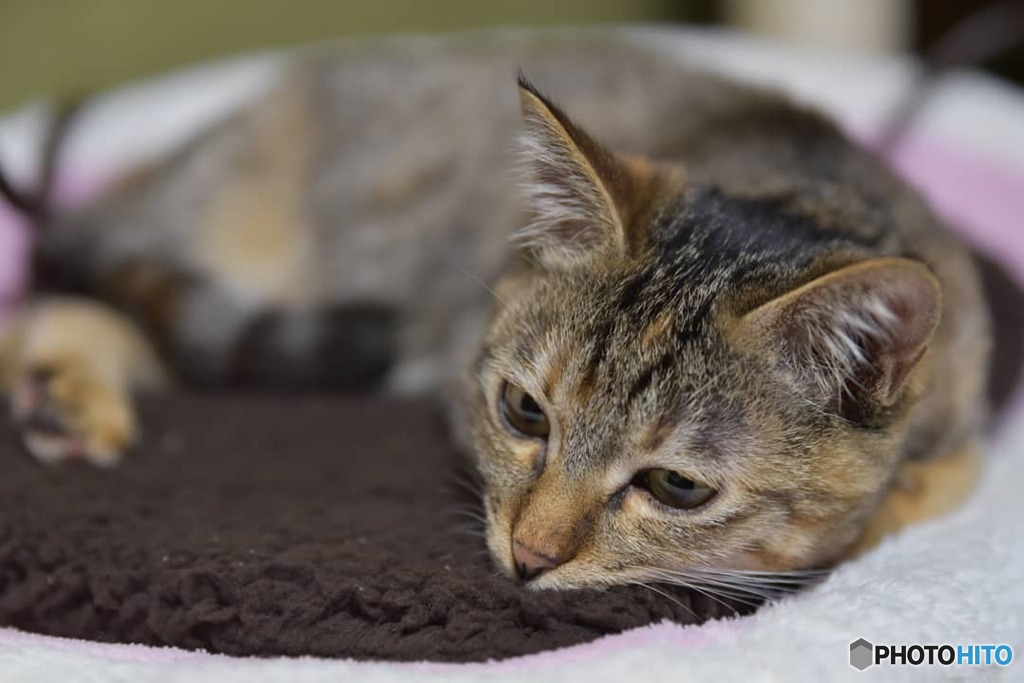 ポカポカして。。