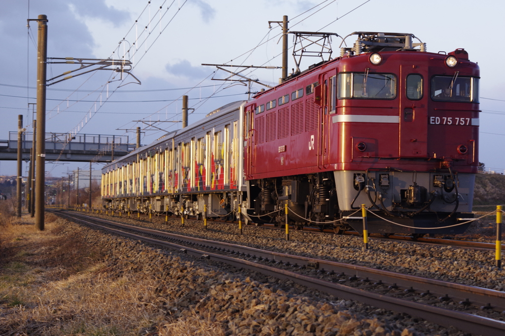 M8  仙石 マンガッタン回送