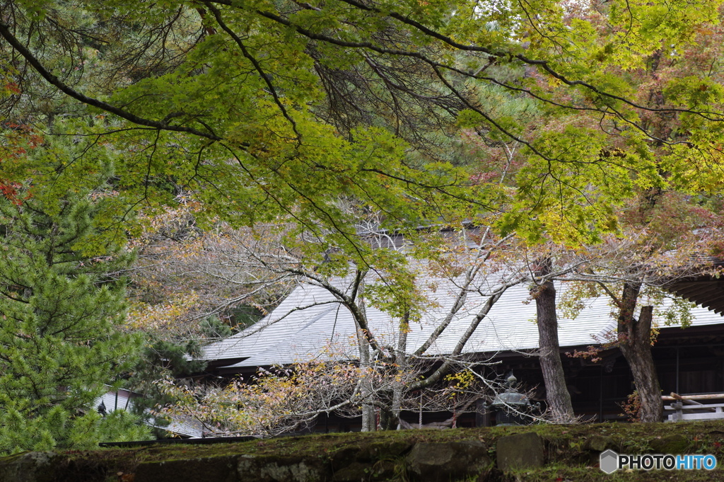 猪苗代 土津神社
