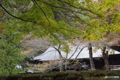 猪苗代 土津神社