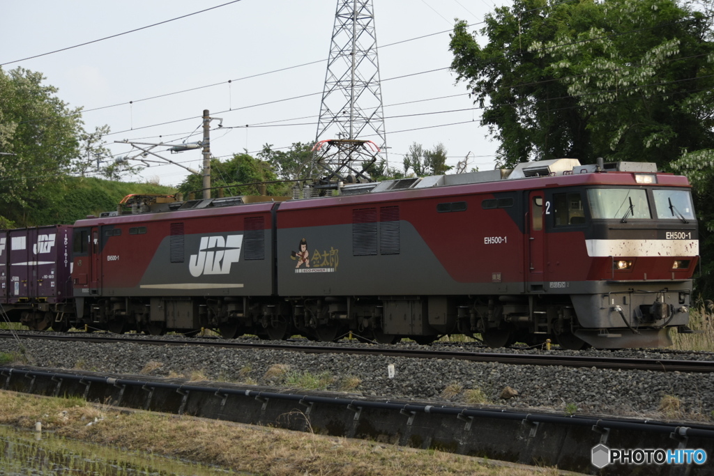 金太郎トップナンバー