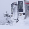 雪を掻き分けて