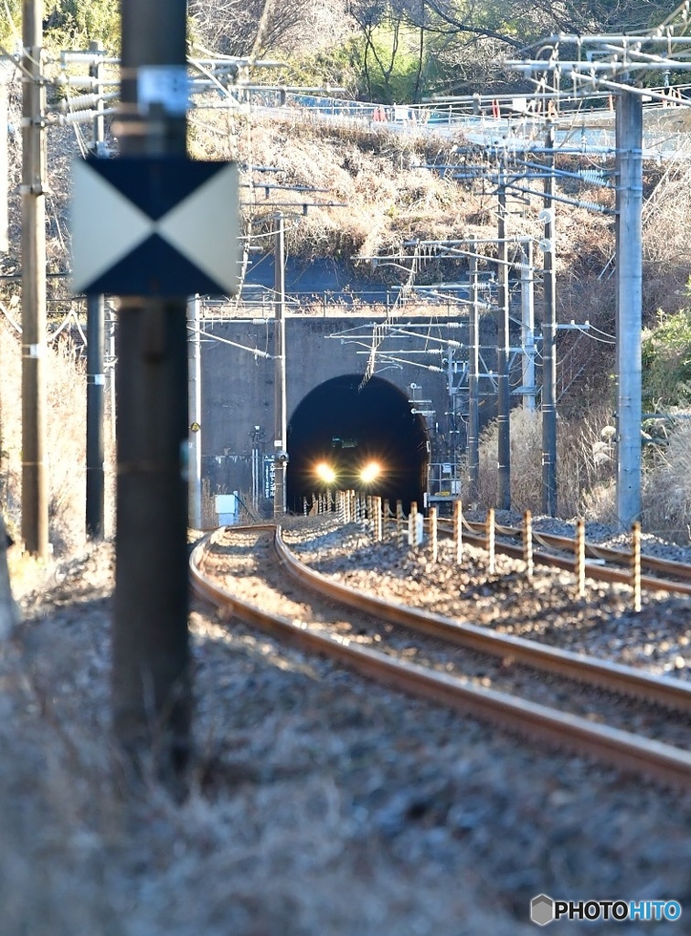 365日運行