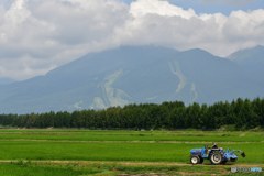 爽やかな風吹いてました。