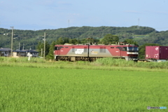 金太郎2号機