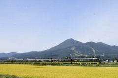 団体臨時  やまどり