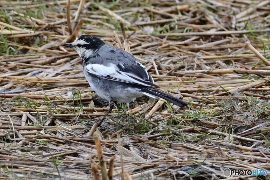 IMG_20210314_144323_607