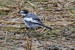 IMG_20210314_144323_607