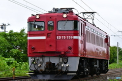 本日のED75 759