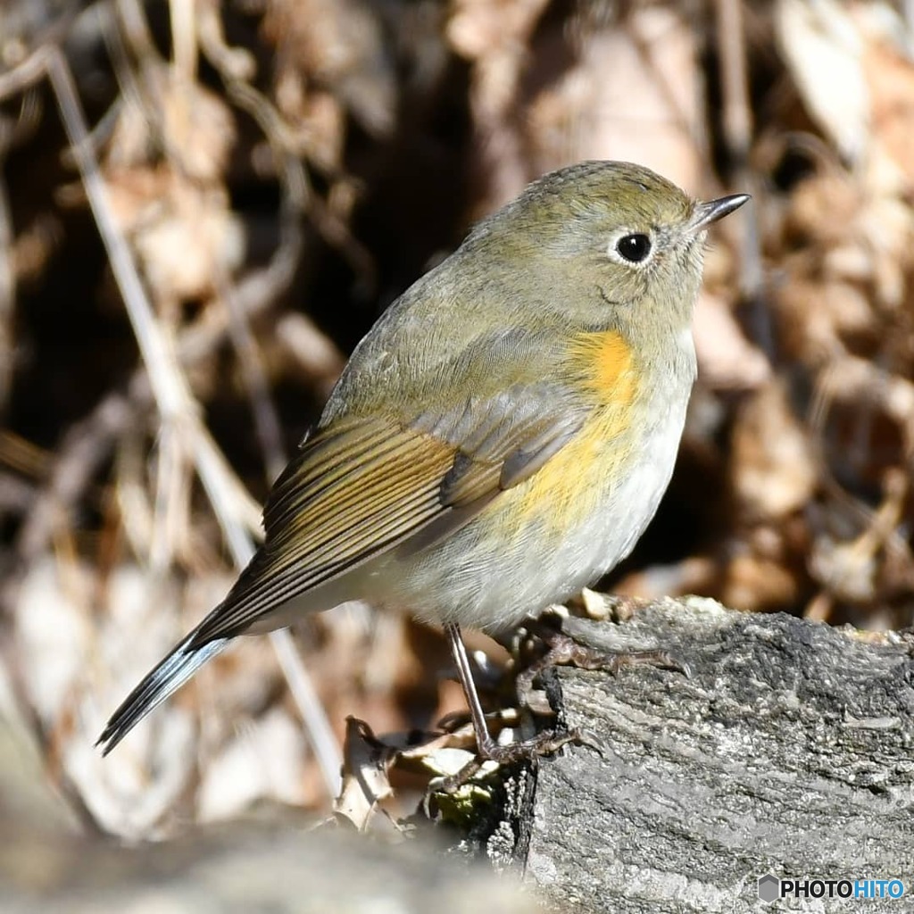 晴れても寒いー