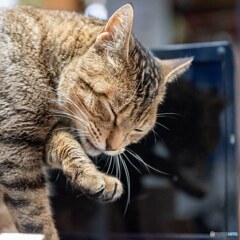 パソコンが(；´_ゝ`)