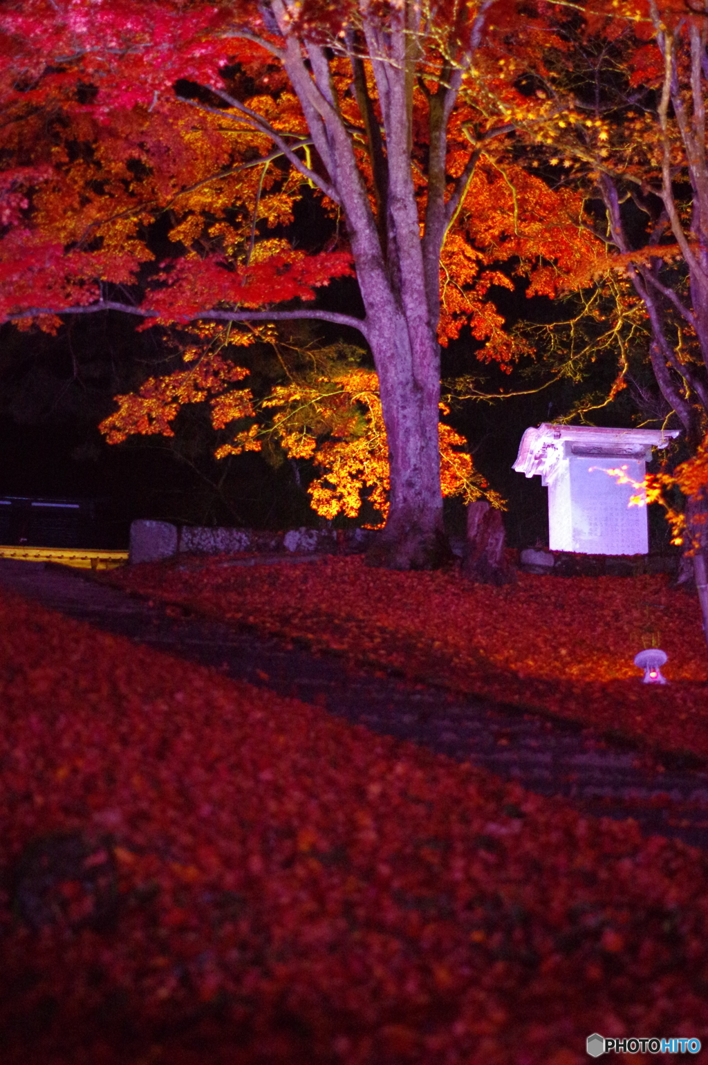 猪苗代町 土津神社