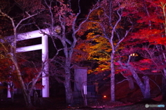 猪苗代町 土津神社