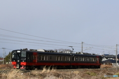 フルーティア号 東北本線
