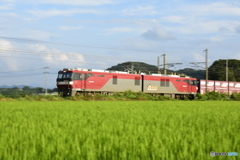 金太郎8号機