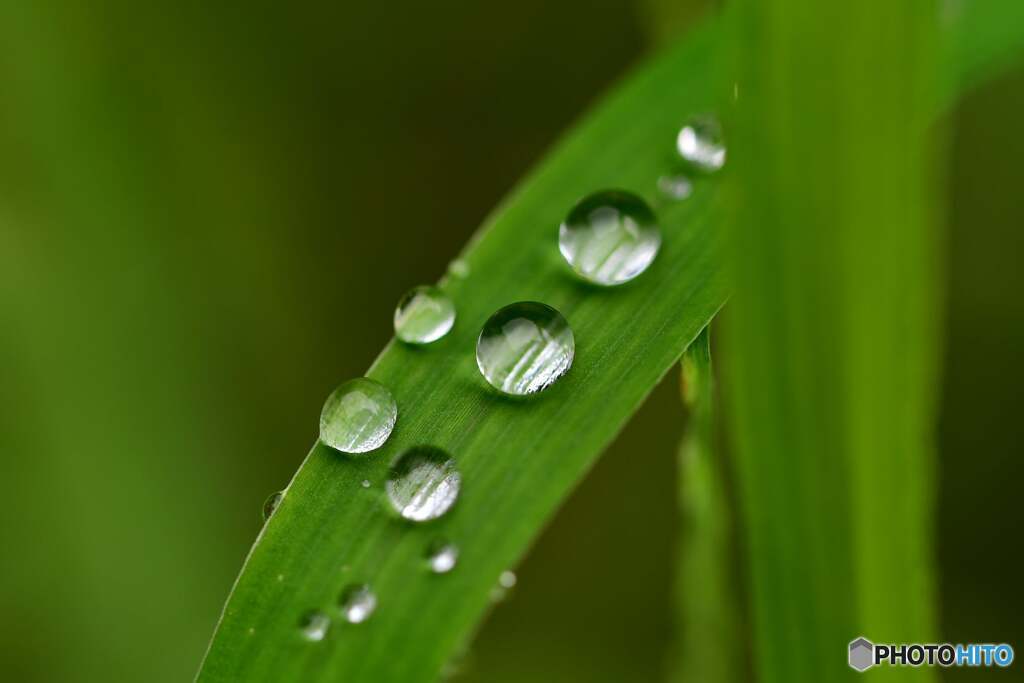 雨上がり