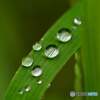 雨上がり