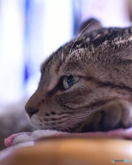 ポカポカでもう…
