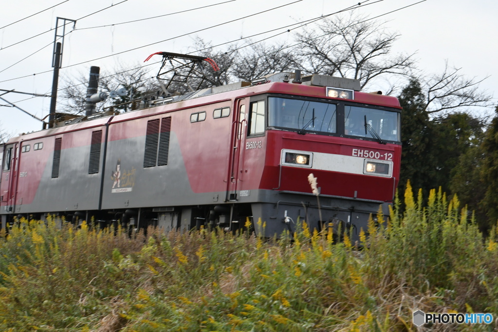 これで東北本線運用 EH500 complete