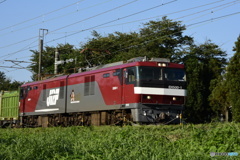 EH-500  1号機