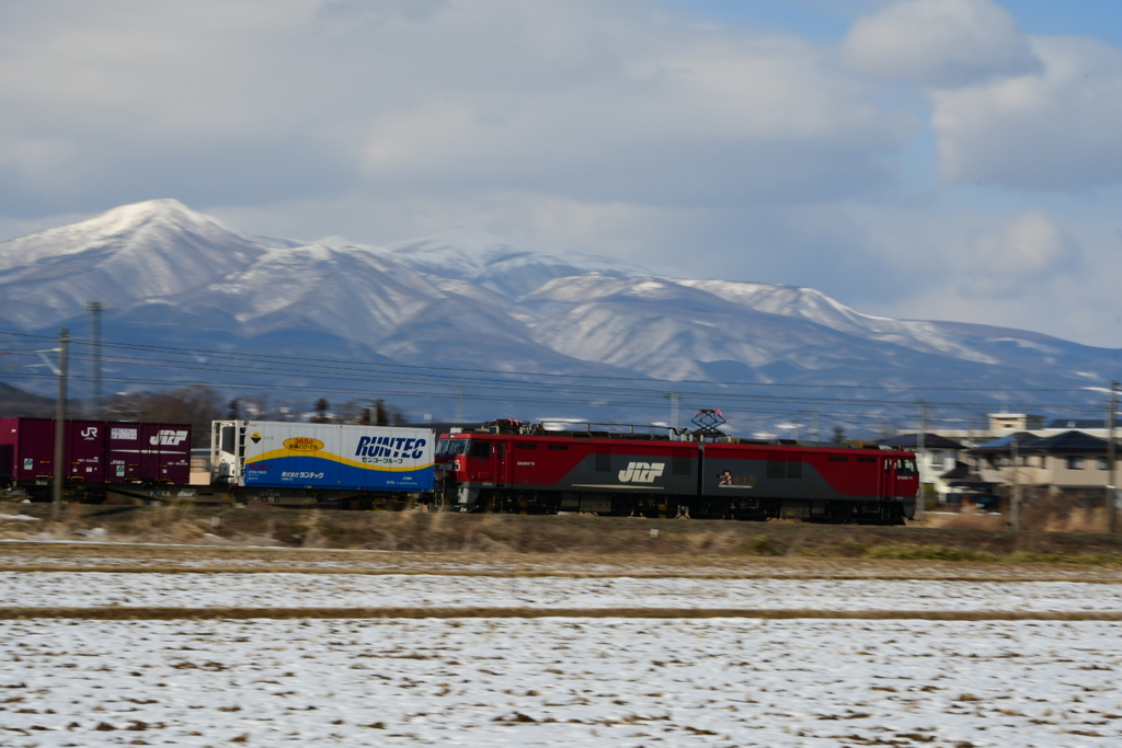 ランテックコンテナ