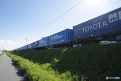 トヨロン