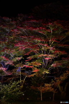 猪苗代町 土津神社
