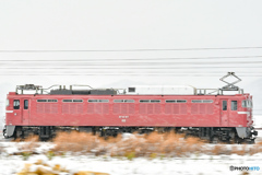 EF81 97