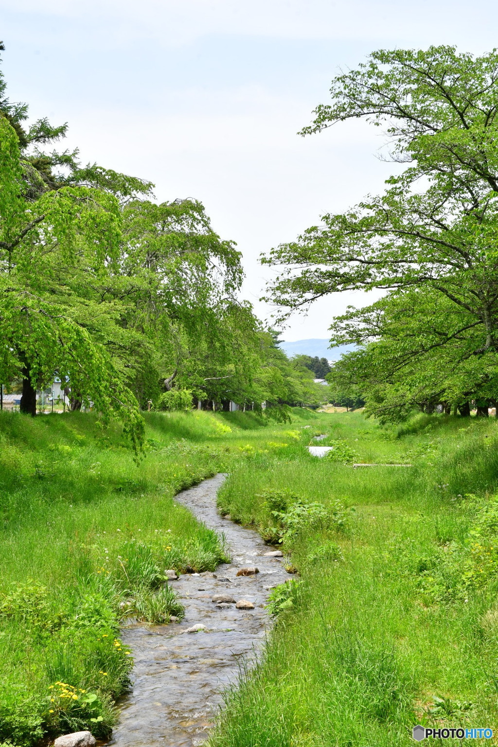 観音寺川