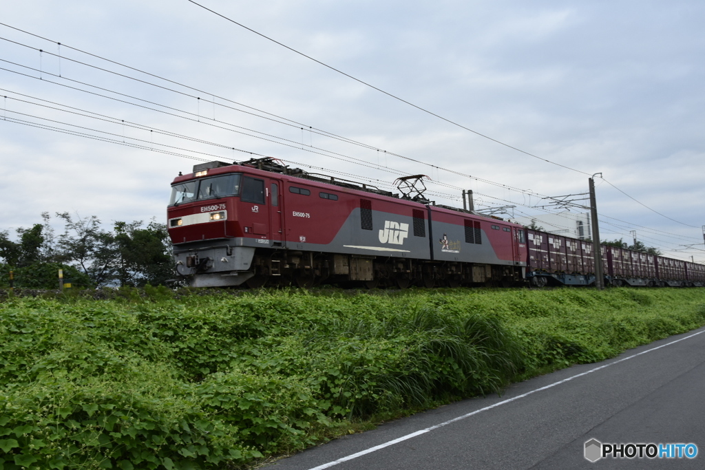 芋臨  フルコン