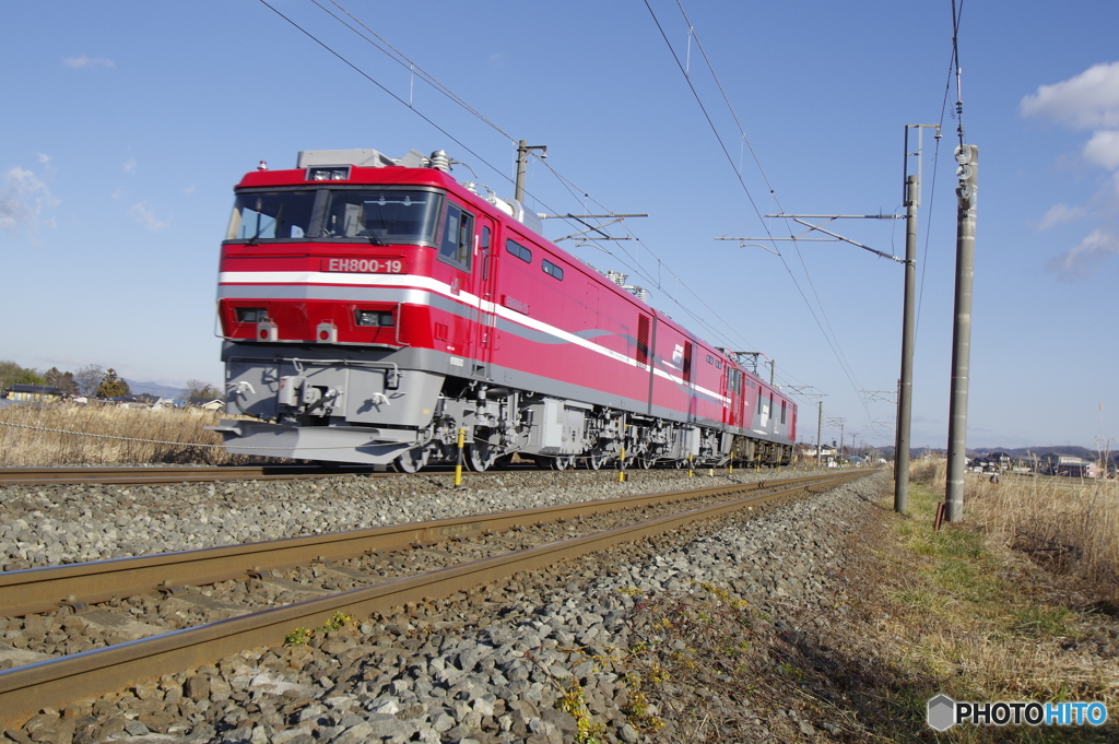 金太郎に牽かれて