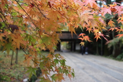 門と紅葉