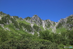 夏の千畳敷カール