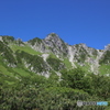 夏の千畳敷カール