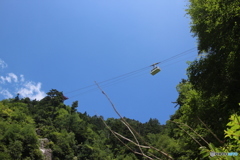 夏の山