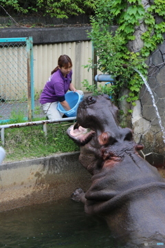 食事中失礼します