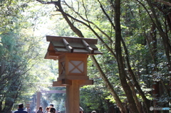 迎え