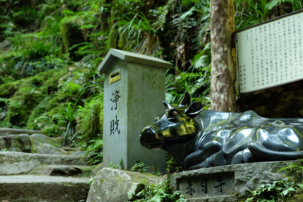 牛