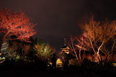 東山花灯路①
