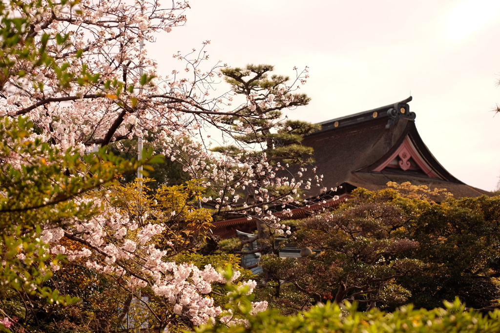 津島神社
