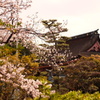 津島神社