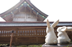 社の裏側