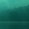 森と湖と霧と