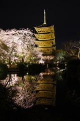 東寺
