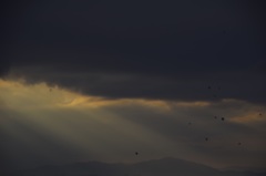 スポットライト