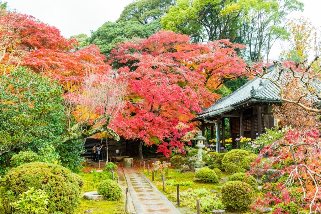 紅葉